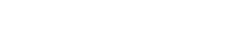 Dallas-Web-Agency-Logo-White 1